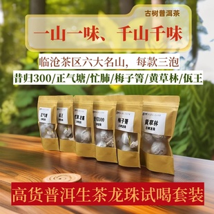 普洱茶生茶昔归忙肺正气塘梅子箐黄草林生普古树龙珠茶叶试喝样品