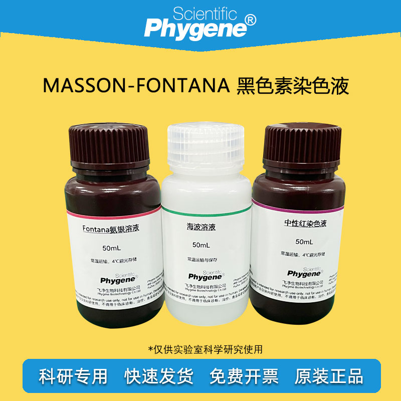Masson-Fontana 黑色素染色液 氨银法 3×100mL [PH1199 PHYGENE]