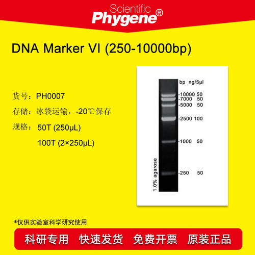 DNAMarker科研专用Phygene