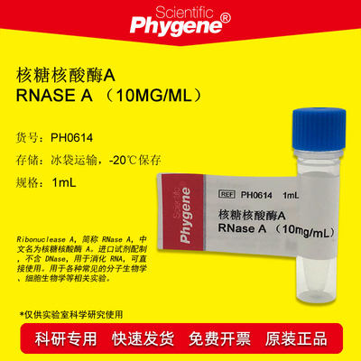 核糖核酸酶科研试剂Phygene