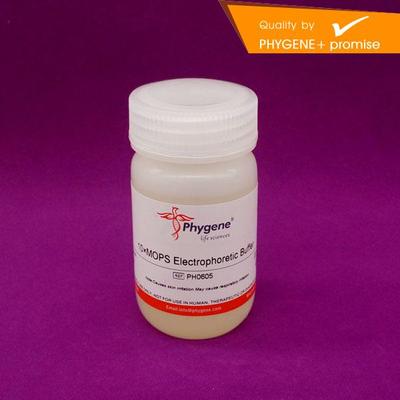 缓冲液实验专用Phygene