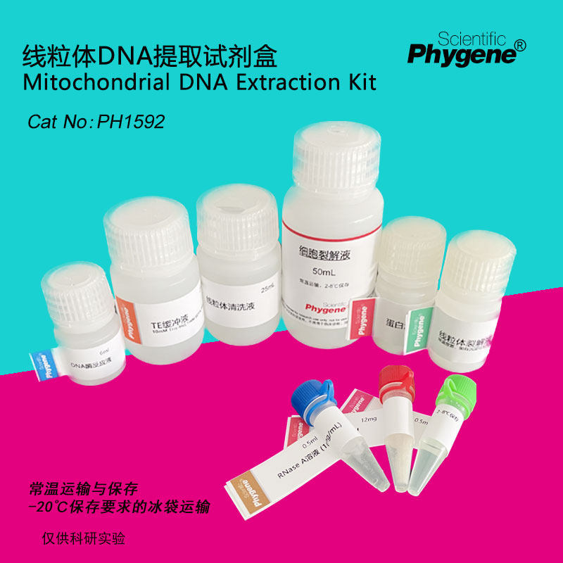 线粒体DNA提取试剂盒 科研实验专用 50T/100T [PH1592 PHYGENE]