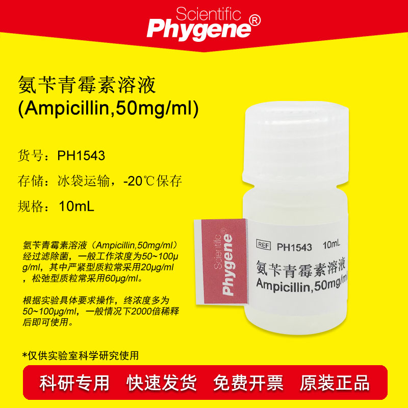 氨苄青霉素溶液 Ampicillin 50mg/mL 科研专用 10mL培养基添加剂