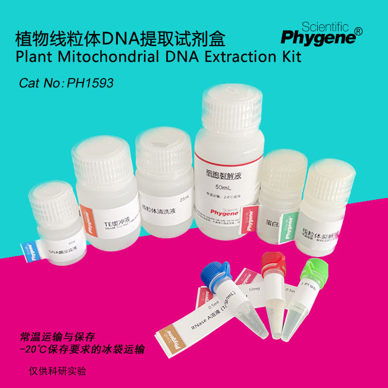 植物线粒体DNA提取试剂盒 科研实验专用 100T [PH1593 PHYGENE]
