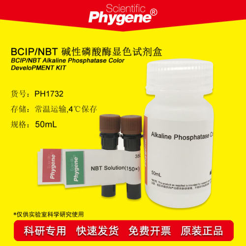 显色碱性磷酸酶Phygene