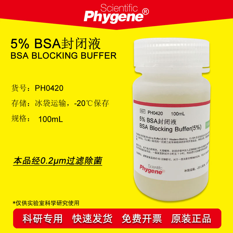 5%BSA封闭液PHYGENE无菌