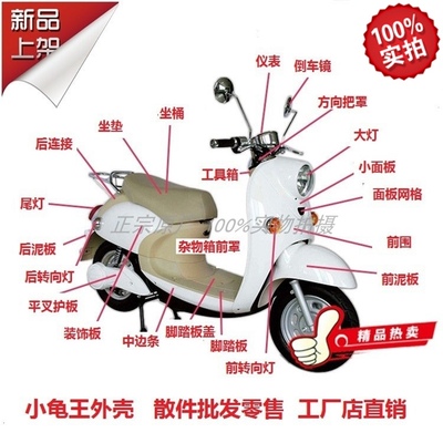 小龟王外壳电动车欧版