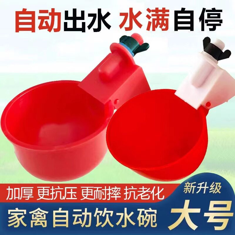 全自动鸡鸭饮水喂食器