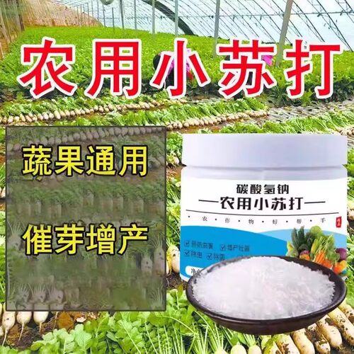 小苏打粉杀菌增产防虫