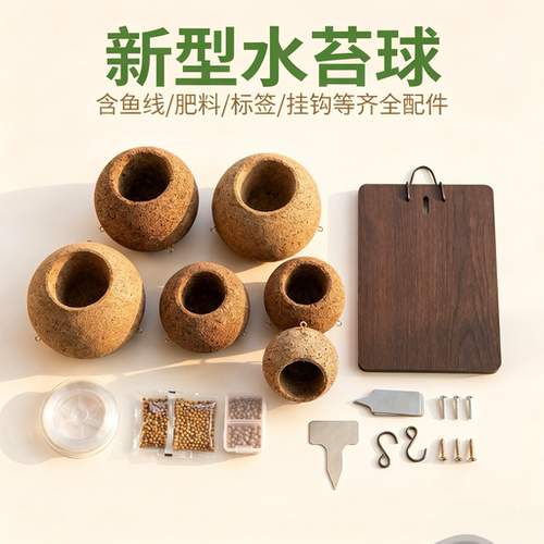 鹿角蕨水苔球懒人上板神器蝴蝶兰石斛兰上板球新型水苔球板植球