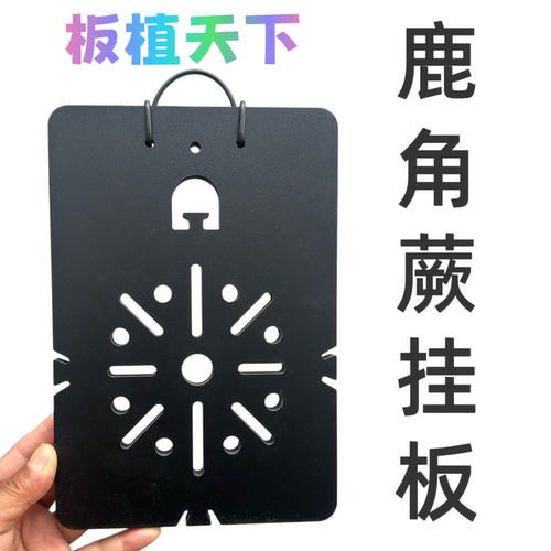鹿角蕨挂板热植板洞洞板黑曼巴磨砂免钉款板蝴蝶兰石斛挂板