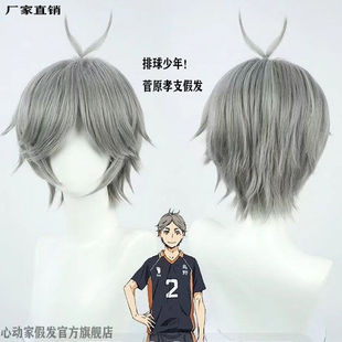 心动家 cos假发 排球少年菅原孝支 无需修剪 仿真头皮反翘 易造型