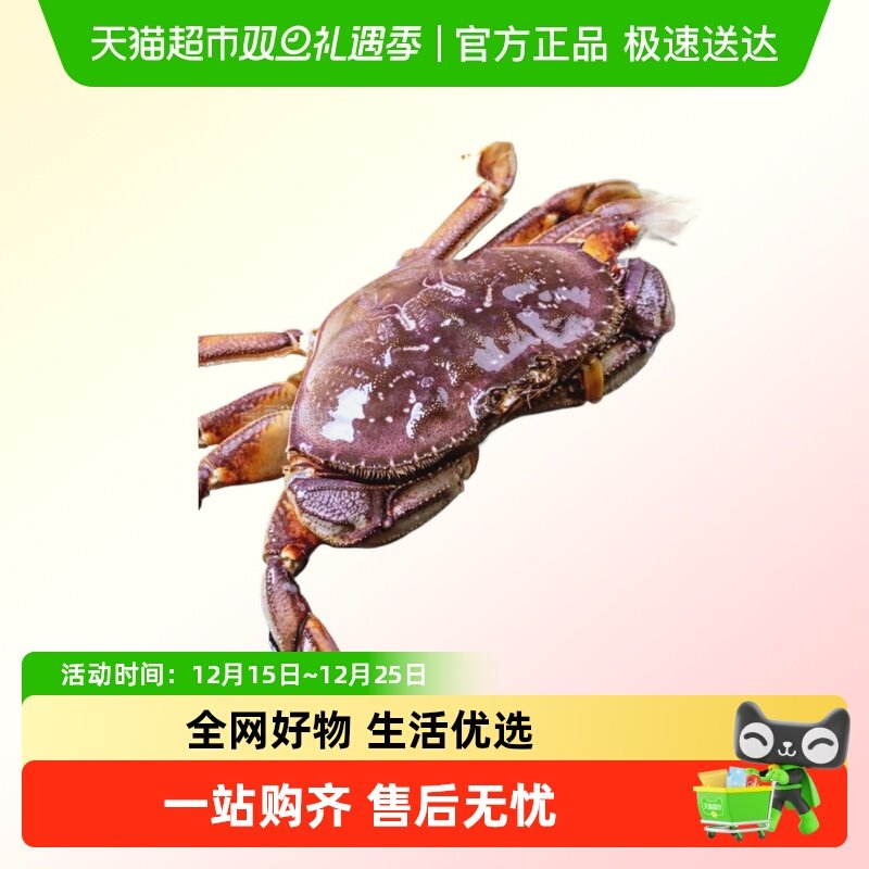 烁奢鲜进口鲜活珍宝蟹鲜活发货