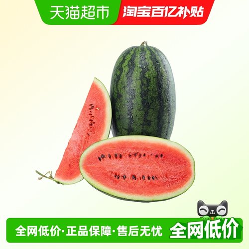 黑美人新鲜西瓜