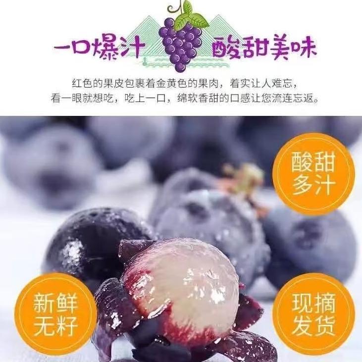 新鲜现摘无籽夏黑葡萄当季黑提应季孕妇时令水果