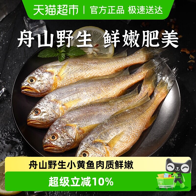 遇上鲜舟山小黄鱼深海捕捞海鱼小黄花鱼生鲜海鲜水产新鲜冷冻烧烤