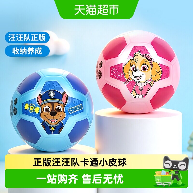 汪汪队小皮球儿童篮球幼儿园专用2号世界杯足球男女孩生日礼物