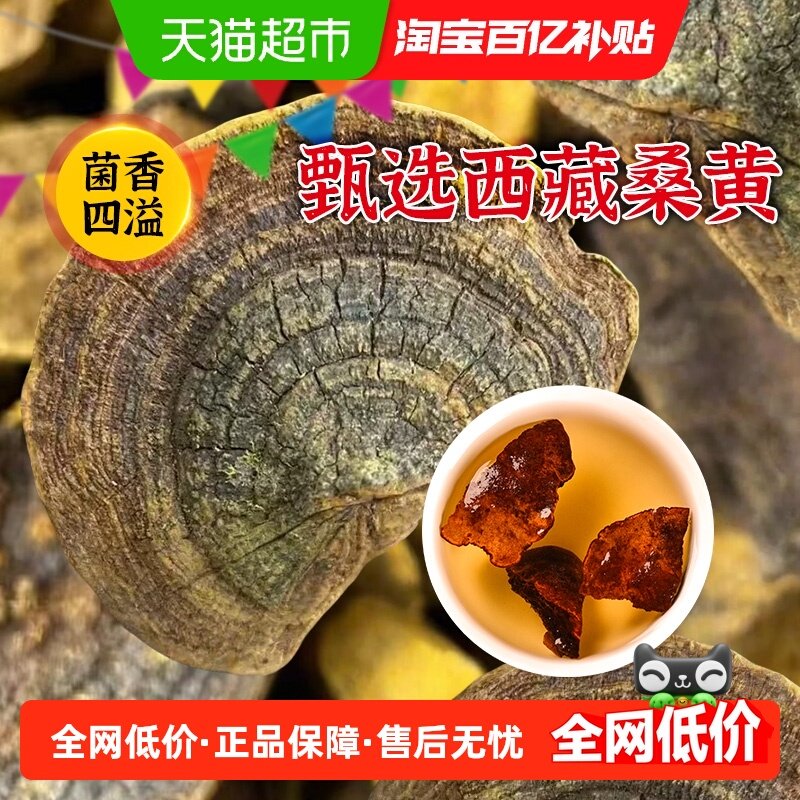 45年桑黄西藏桑树粉茶泡水灵芝片灵芝孢子粉中草药材,传统滋补营养品,整枝灵芝,淘宝优惠券,粉丝福利购,淘宝优惠卷
