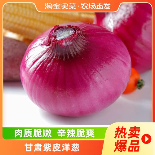 紫皮洋葱脆爽农家自种
