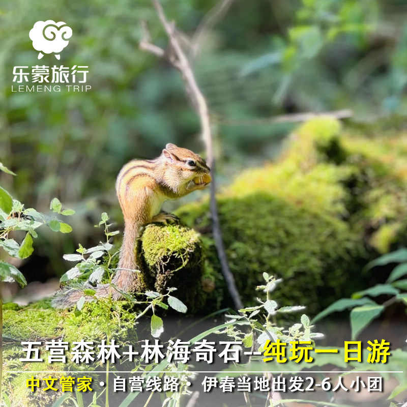 哈尔滨周边伊春游五营森林公园/汤旺河林海奇石纯玩一日游1-6人团