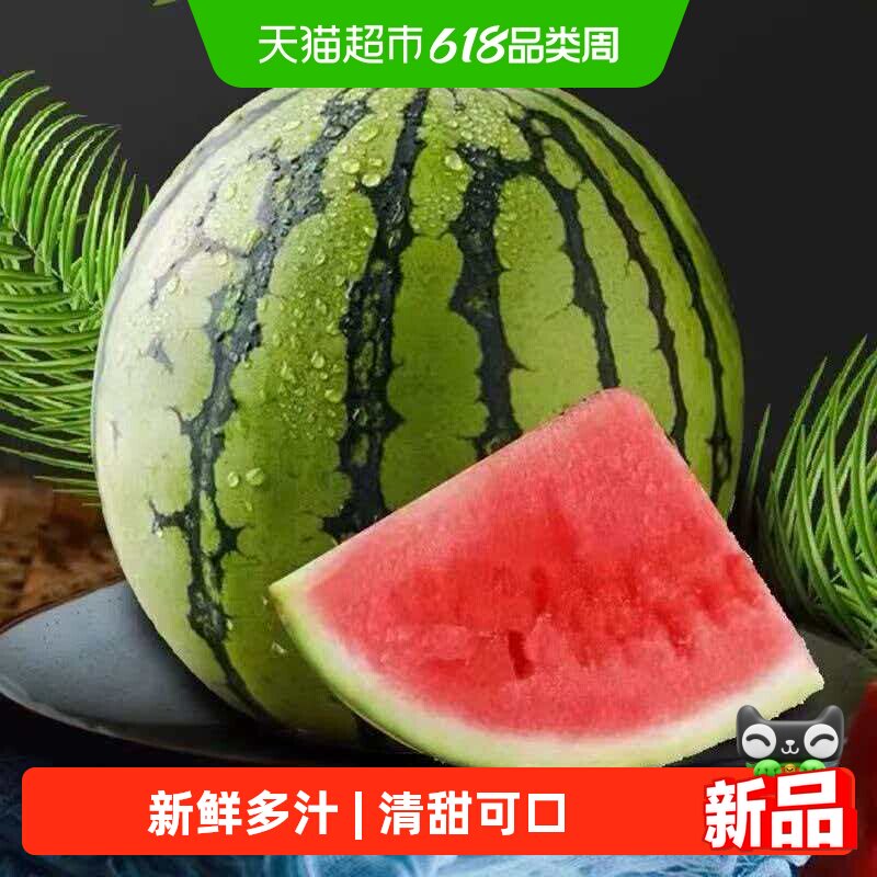 云南高原麒麟西瓜 精品西瓜夏季时令水果新鲜多汁爽口解暑