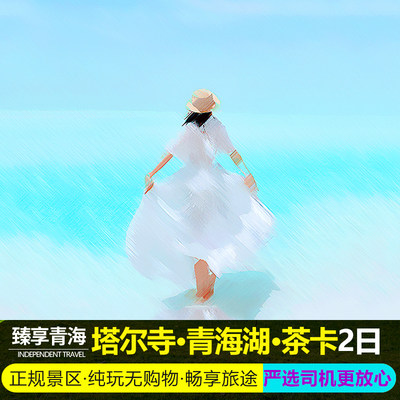 [车+住+票]青海旅游拼车西宁塔尔寺青海湖茶卡盐湖2天1晚纯玩跟团