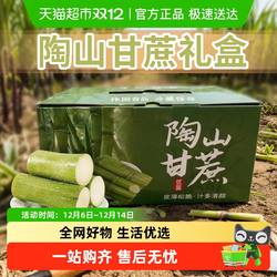 陶山甘蔗礼盒新鲜青皮绿皮甘蔗现砍孕妇新鲜水果应季整箱脆甜果蔗