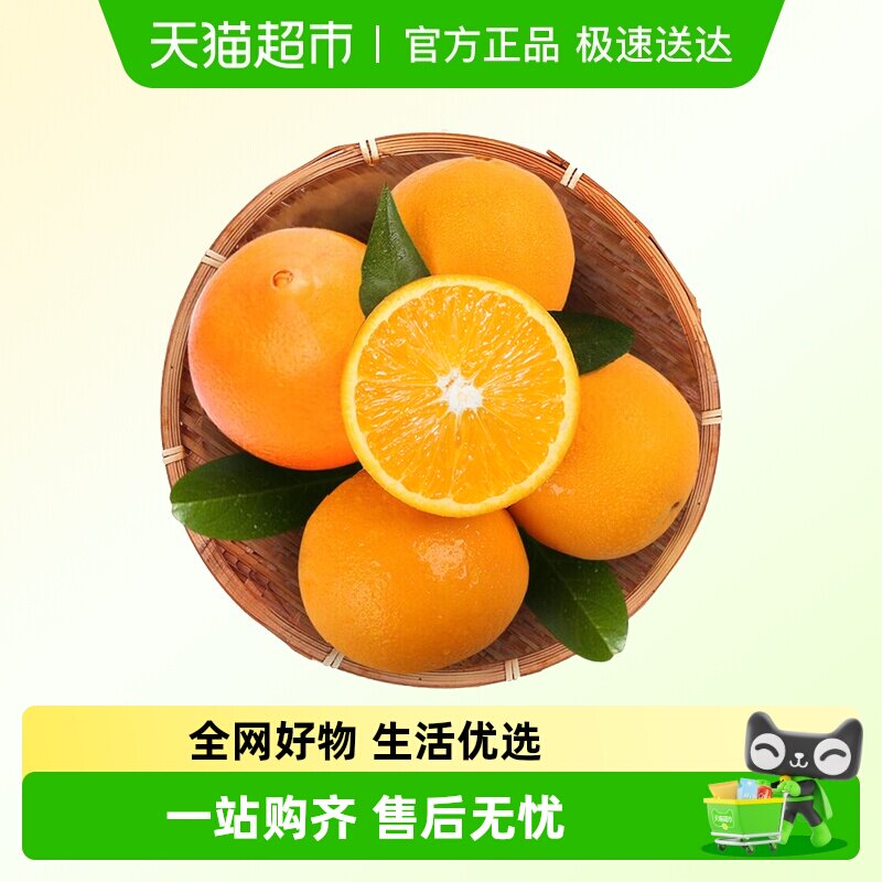 2025年正宗重庆奉节脐橙纽荷尔当季鲜橙子新鲜水果广柑子产地直采