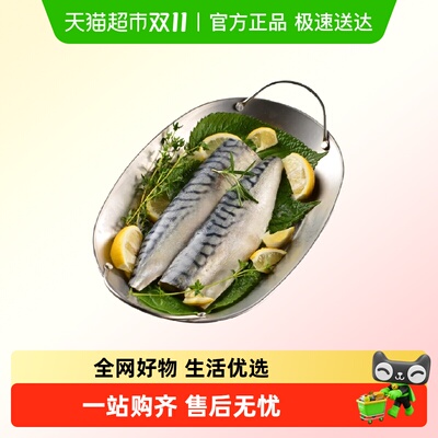 九十六次鲜青花鱼块鲭鱼