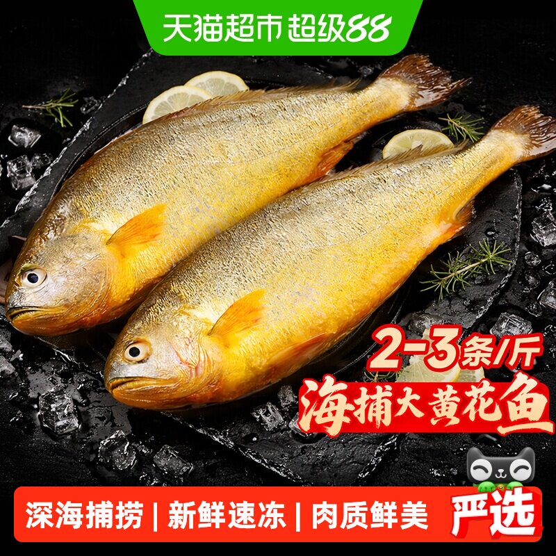 其他大黄花鱼冷冻锁鲜紧实弹嫩图片