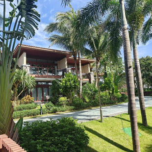 万宁神州半岛君悦酒店2-6月小红书同款秒杀会员价