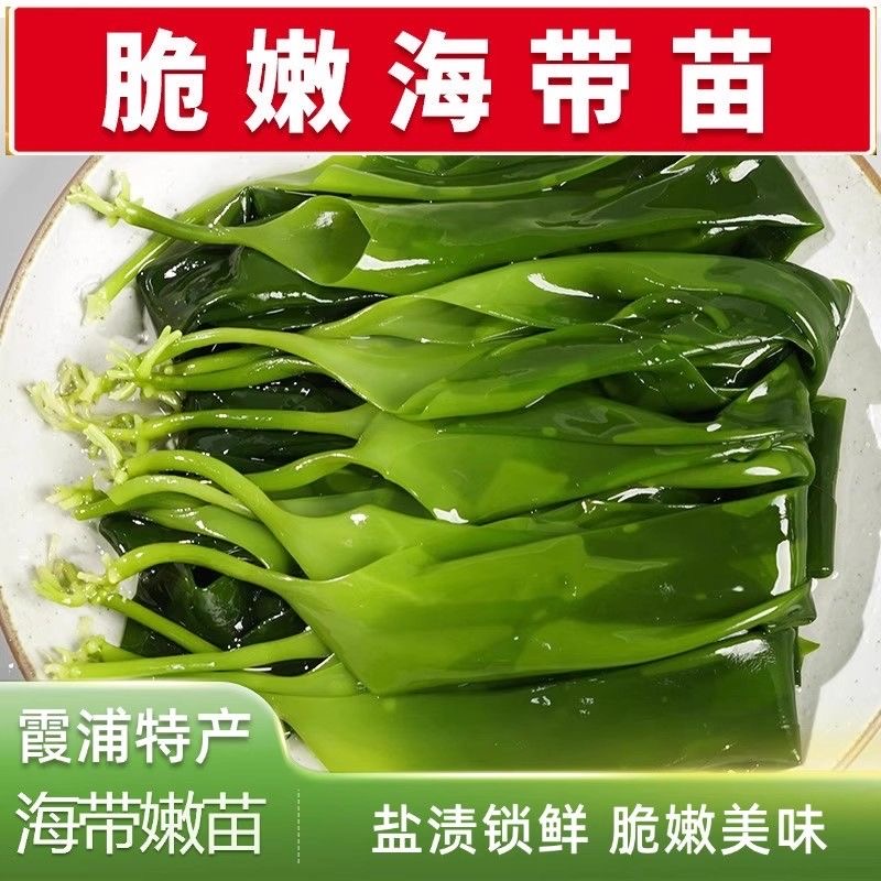 霞浦海带苗嫩苗非特级非干货新鲜海带嫩芽盐渍嫩苗凉拌菜火锅商用
