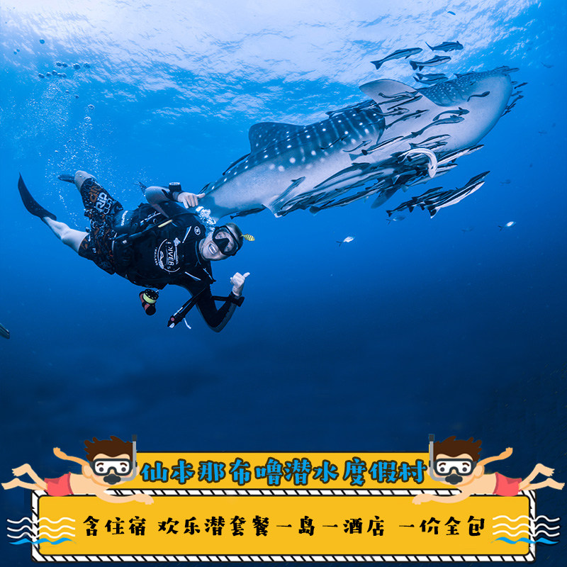 官方直营 布噜潜水 仙本那诗巴丹持证潜水 ow fd欢乐潜 深潜套餐