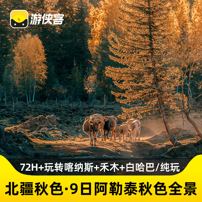 北疆秋色9天喀纳斯禾木白哈巴