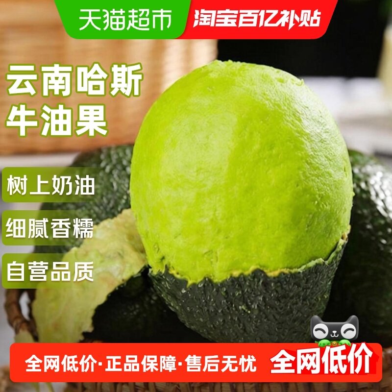 云南哈斯牛油果应当季新鲜水果整箱特大果孟连即食鳄梨孕妇