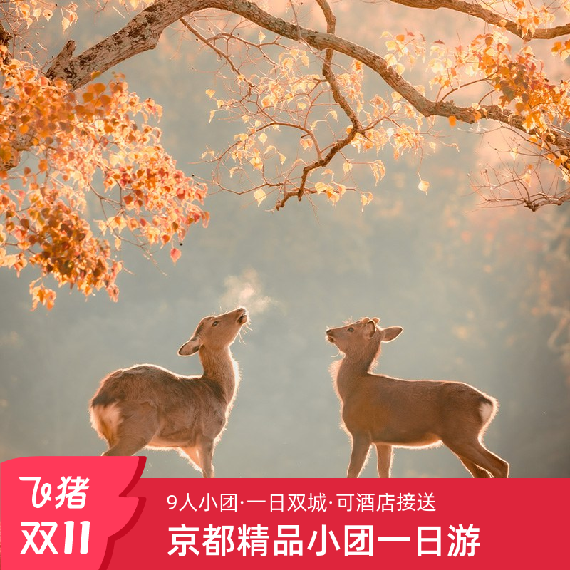 京都一日游纯玩小团