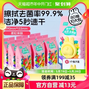 怡恩贝多彩湿厕纸湿手纸80抽10大包桃叶温和洁净经期可用可悬挂