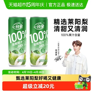 一枝笔范丞丞同款100%莱阳梨汁310ml*8罐纯梨汁网红果汁饮品
