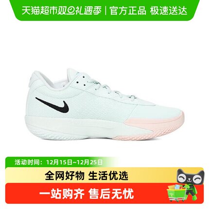 NIKE耐克男鞋AIR ZOOM G.T. CUT ACADEMY EP实战篮球鞋FB2598-301
