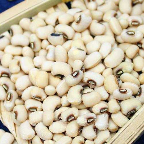 眉豆新货农家白豇豆白饭豆豆类五谷杂粮粗粮豆子散装批发自种