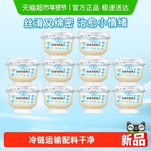 【新品上市】简爱焦糖牛奶布丁营养早餐饭后甜品下午茶100g*10杯