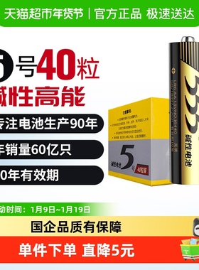 555电池5号碱性干电池无汞40粒装AA 1.5V鼠标/玩具/空调/遥控器