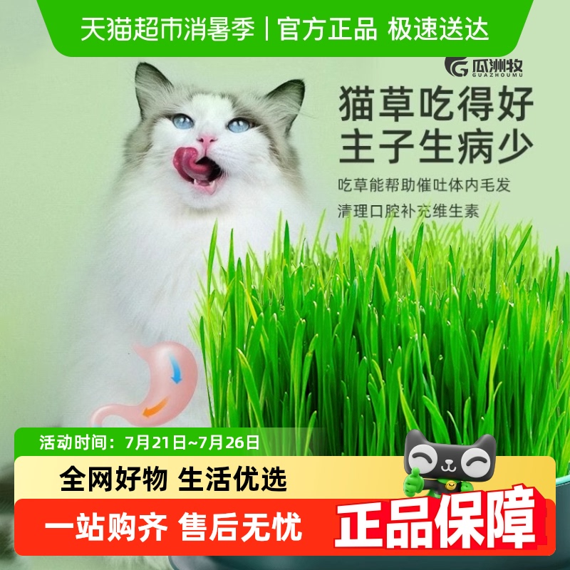 èˮֲлèݻëƬСʳ15.8Ԫ