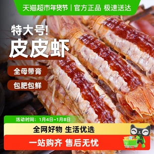 云储生活皮皮虾鲜活冷冻特大全母带膏带籽虾即食海虾浙江海鲜水产