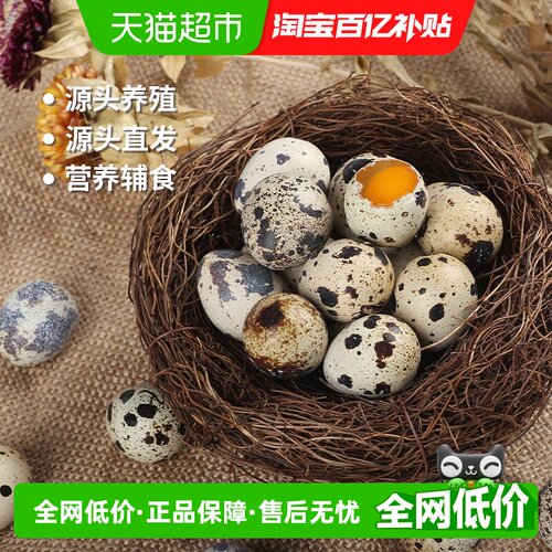神丹鲜鹌鹑蛋50枚礼盒宝宝辅食