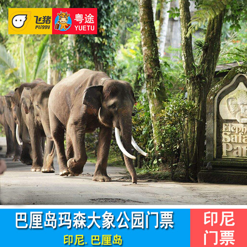 [巴厘岛大象公园-大门票]巴厘岛梅森大象公园门票 Mason Elephant Park Bali