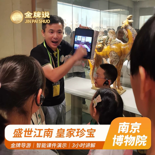 金牌说●南京博物院讲解I春节同价I3H金牌导游讲解大咖解说可含票