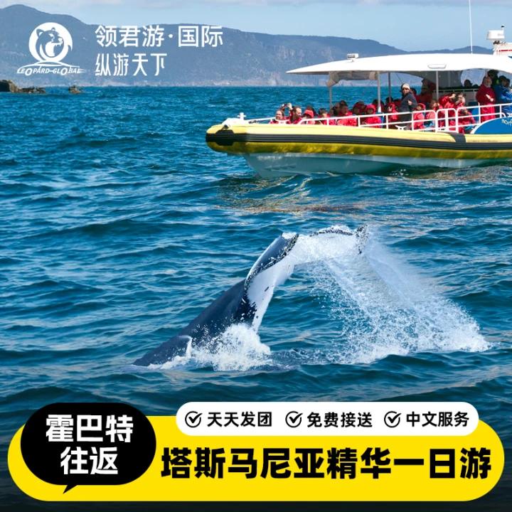 塔斯马尼亚精华一日游