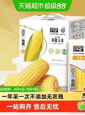 北纬47°黄糯玉米高糯240g*10根