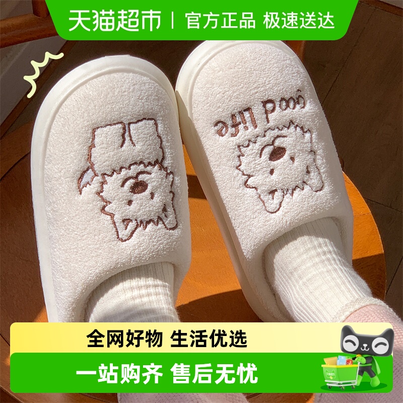 利达妮女士情侣居家2025新款棉拖